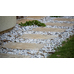 Travertine Paver Latte Tumbled 610x406x30mm